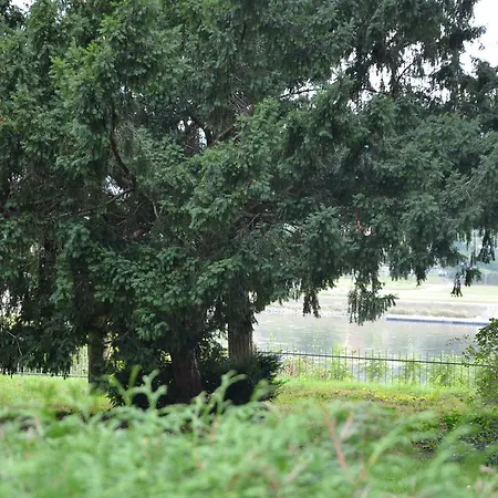 An Der Elbe *